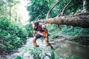 BIB: 
                            <button type="button" onclick="openModal(25430809)" class="btn btn-primary btn-sm float-right btn-popup" data-toggle="modal" data-target=".modal-high-quality">
                        <i class="fas fa-shopping-cart"></i> Add to Cart
                    </button>
                                            <button type="button" onclick="isThisMe(25430809, true)" class="btn btn-success btn-sm float-right btn-popup btn-isme hidden" data-toggle="tooltip" data-placement="bottom" title="นี่คือรูปของคุณใช่ไหม คลิกที่นี่เพื่อเอาเข้าอัลบั้ม">
                        <i class="fas fa-plus"></i> Add to album
                    </button>
                    <button type="button" onclick="isThisMe(25430809, false)" class="btn btn-warning btn-sm float-right btn-popup btn-isnotme hidden">
                        <i class="fas fa-ban"></i> Remove from album
                    </button>